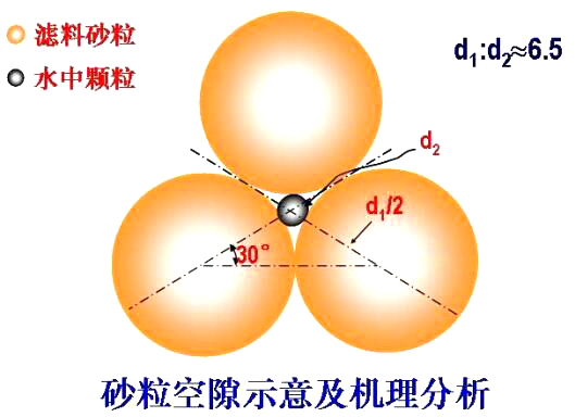 砂?？障妒疽饧皺C(jī)理分析