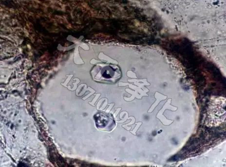 含氣液包裹體的單晶石英(放大200倍) 含氣液包裹體的單晶石英(放大200倍)